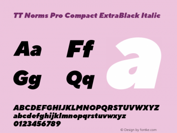 TT Norms Pro Compact ExtraBlack Italic Version 3.200.25102023图片样张