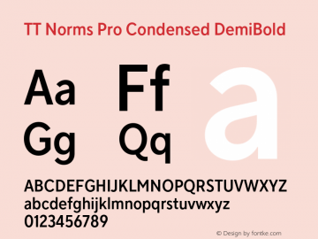 TT Norms Pro Condensed DemiBold Version 3.200.25102023图片样张