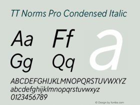 TT Norms Pro Condensed Italic Version 3.200.25102023图片样张