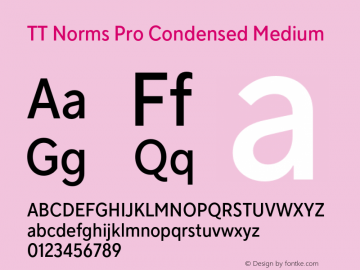 TT Norms Pro Condensed Medium Version 3.200.25102023图片样张