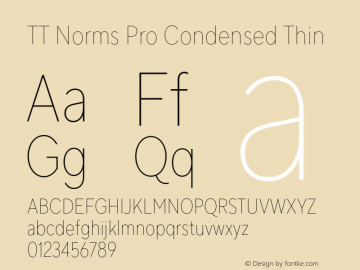 TT Norms Pro Condensed Thin Version 3.200.25102023图片样张