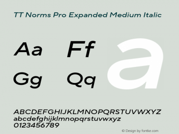 TT Norms Pro Expanded Medium Italic Version 3.200.25102023图片样张