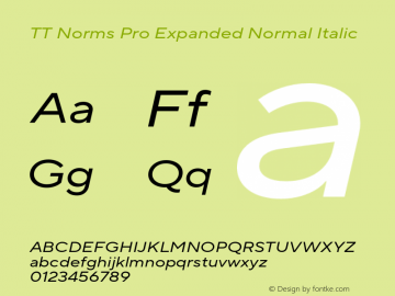 TT Norms Pro Expanded Normal Italic Version 3.200.25102023图片样张