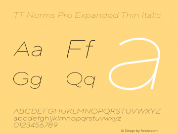 TT Norms Pro Expanded Thin Italic Version 3.200.25102023图片样张