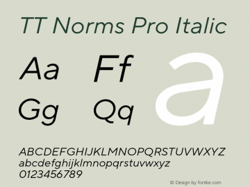 TT Norms Pro Italic Version 3.200.25102023图片样张