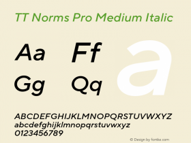 TT Norms Pro Medium Italic Version 3.200.25102023图片样张
