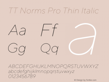 TT Norms Pro Thin Italic Version 3.200.25102023图片样张