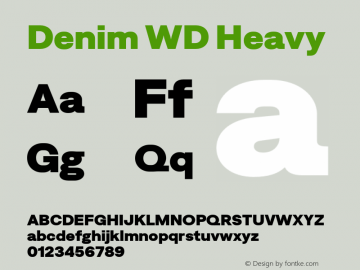 Denim WD Heavy Version 4.000;Glyphs 3.2 (3186)图片样张
