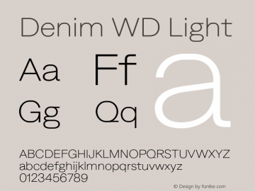 Denim WD Light Version 4.000;Glyphs 3.2 (3186)图片样张