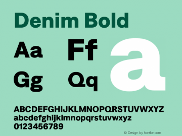 Denim Bold Version 4.000;Glyphs 3.2 (3181)图片样张