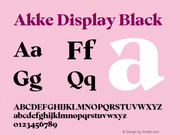 Akke Display Black Version 2.281图片样张