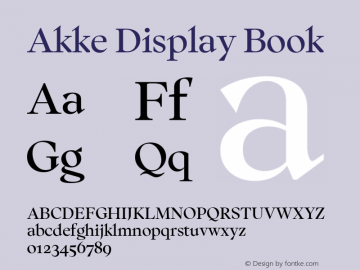 Akke Display Book Version 2.281图片样张