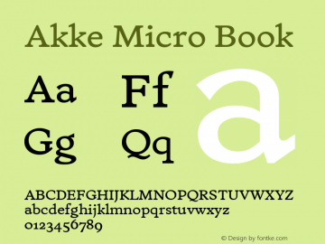 Akke Micro Book Version 2.281图片样张