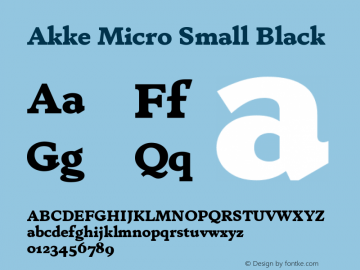 Akke Micro Small Black Version 2.281图片样张