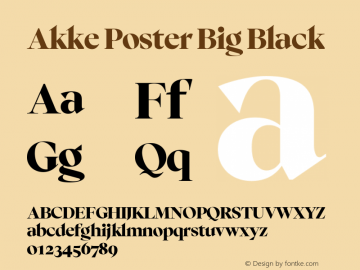 Akke Poster Big Black Version 2.281图片样张