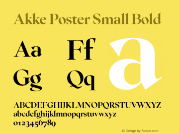 Akke Poster Small Bold Version 2.281图片样张