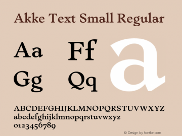 Akke Text Small Regular Version 2.281图片样张