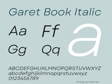 Garet Book Italic Version 1.004;FEAKit 1.0图片样张