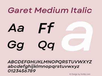 Garet Medium Italic Version 1.004;FEAKit 1.0图片样张