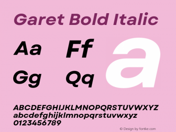 Garet Bold Italic Version 1.004;FEAKit 1.0图片样张