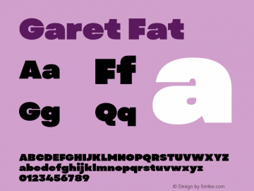 Garet Fat Version 1.004;FEAKit 1.0图片样张