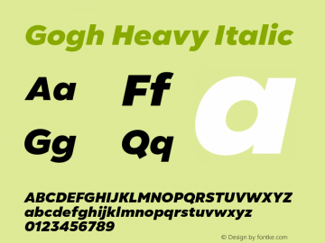 Gogh Heavy Italic Version 1.004;FEAKit 1.0图片样张