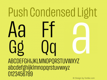 Push Condensed Light Version 1.00图片样张