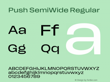 Push SemiWide Regular Version 1.00图片样张