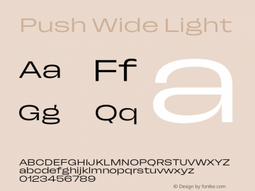 Push Wide Light Version 1.00图片样张