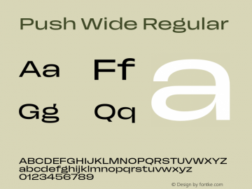 Push Wide Regular Version 1.00图片样张