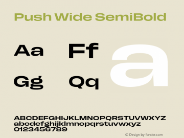 Push Wide SemiBold Version 1.00图片样张