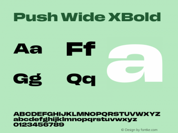 Push Wide XBold Version 1.00图片样张