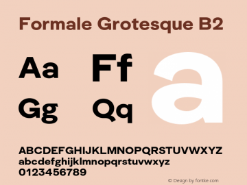 Formale Grotesque B2 Version 2.022;Glyphs 3.2 (3241)图片样张