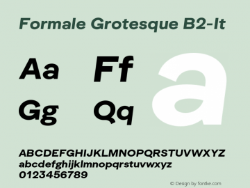 Formale Grotesque B2-It Version 2.022;Glyphs 3.2 (3241)图片样张