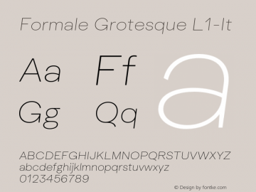 Formale Grotesque L1-It Version 2.022;Glyphs 3.2 (3241)图片样张