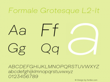 Formale Grotesque L2-It Version 2.022;Glyphs 3.2 (3241)图片样张