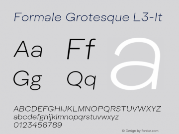 Formale Grotesque L3-It Version 2.022;Glyphs 3.2 (3241)图片样张