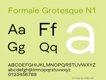 Formale Grotesque N1 Version 2.022;Glyphs 3.2 (3241)图片样张