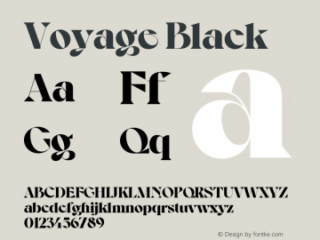 Voyage Black Version 1.000;Glyphs 3.2 (3221)图片样张