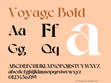 Voyage Bold Version 1.000;Glyphs 3.2 (3221)图片样张