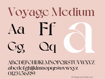 Voyage Medium Version 1.000;Glyphs 3.2 (3221)图片样张