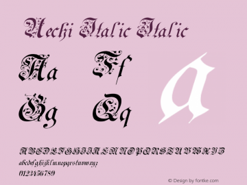 Uechi Italic Version 1.0图片样张