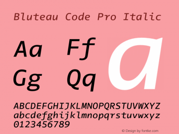 Bluteau Code Pro Regular Italic Version 1.000;Glyphs 3.1.2 (3151)图片样张