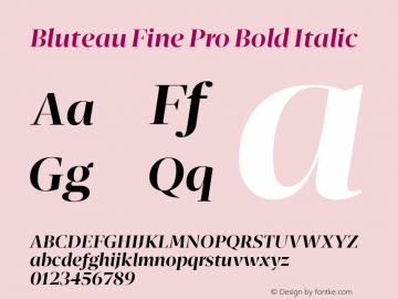 Bluteau Fine Pro Bold Italic Version 1.000;Glyphs 3.1.2 (3151)图片样张