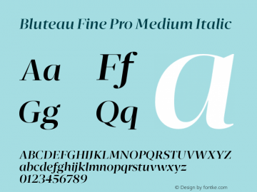 Bluteau Fine Pro Medium Italic Version 1.000;Glyphs 3.1.2 (3151)图片样张