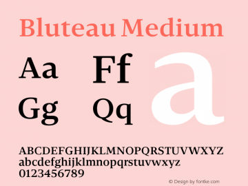 Bluteau Medium Version 1.000;Glyphs 3.1.2 (3151)图片样张