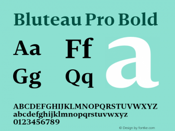 Bluteau Pro Bold Version 1.000;Glyphs 3.1.2 (3151)图片样张