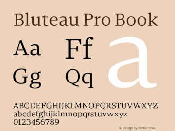 Bluteau Pro Book Version 1.000;Glyphs 3.1.2 (3151)图片样张