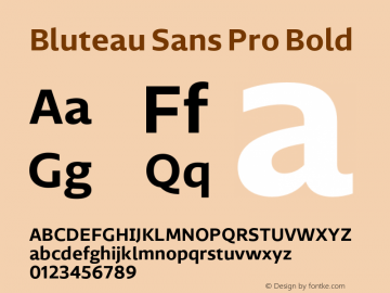 Bluteau Sans Pro Bold Version 1.000;Glyphs 3.1.2 (3151)图片样张