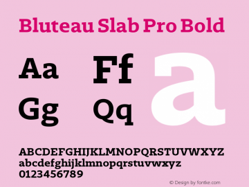 Bluteau Slab Pro Bold Version 1.000;Glyphs 3.1.2 (3151)图片样张